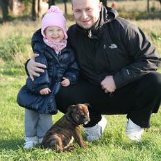 Olde english bulldogge Bergløv's Lulu (Faith)
