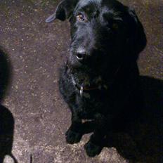 Blanding af racer buster