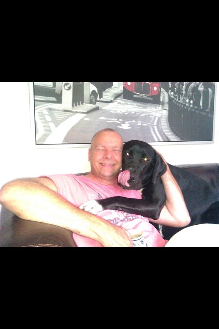 Blanding af racer Berta billede 12