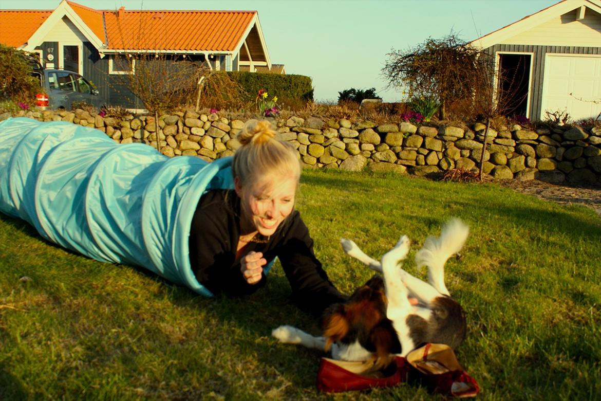 Blanding af racer Emma - Dumme mennesker! Tror de selv jeg gider kravle gennem det rør, når jeg ved, det er meget sjovere at kigge på dem gøre det? billede 11