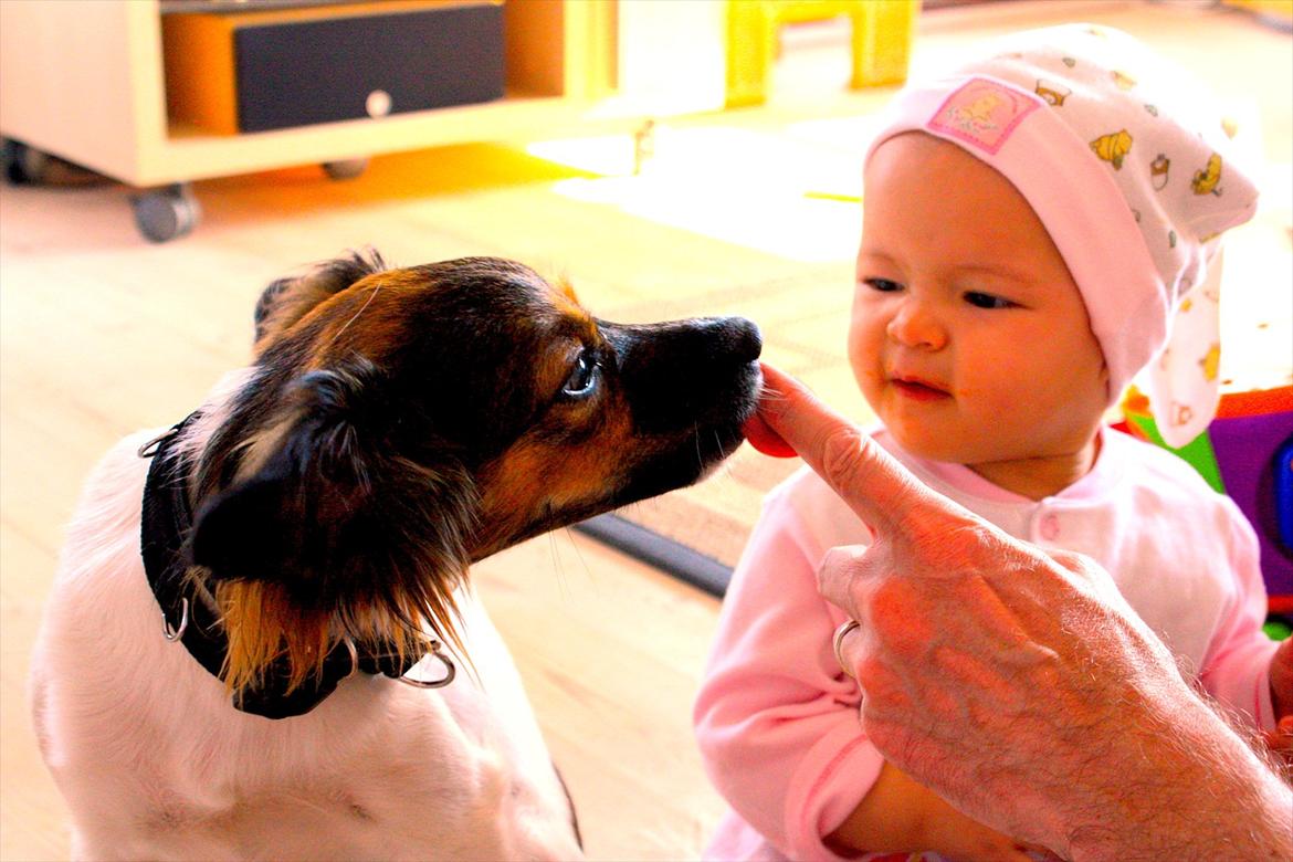 Blanding af racer Emma - Det her er mors lillesøster. Hun synes altså det er lidt ulækkert, når jeg kysser "morfars" finger. Hun tager fejl, det er mmmm-lækkert! billede 4