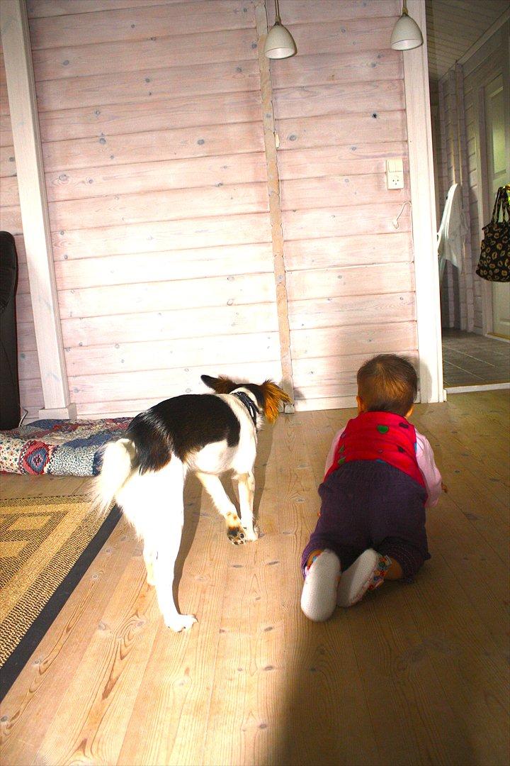 Blanding af racer Emma - Ih, verden skal undersøges, og der er ikke noget bedre end at have en makker at følges med! billede 5