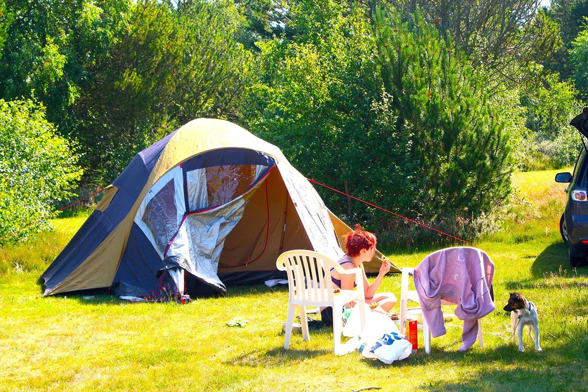 Blanding af racer Emma - Åhh, det var min første campingtur. Det var så hyggeligt! Jeg var ude dagen lang! billede 13