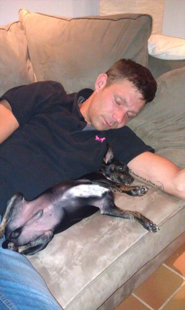 Blanding af racer Kenzo billede 9