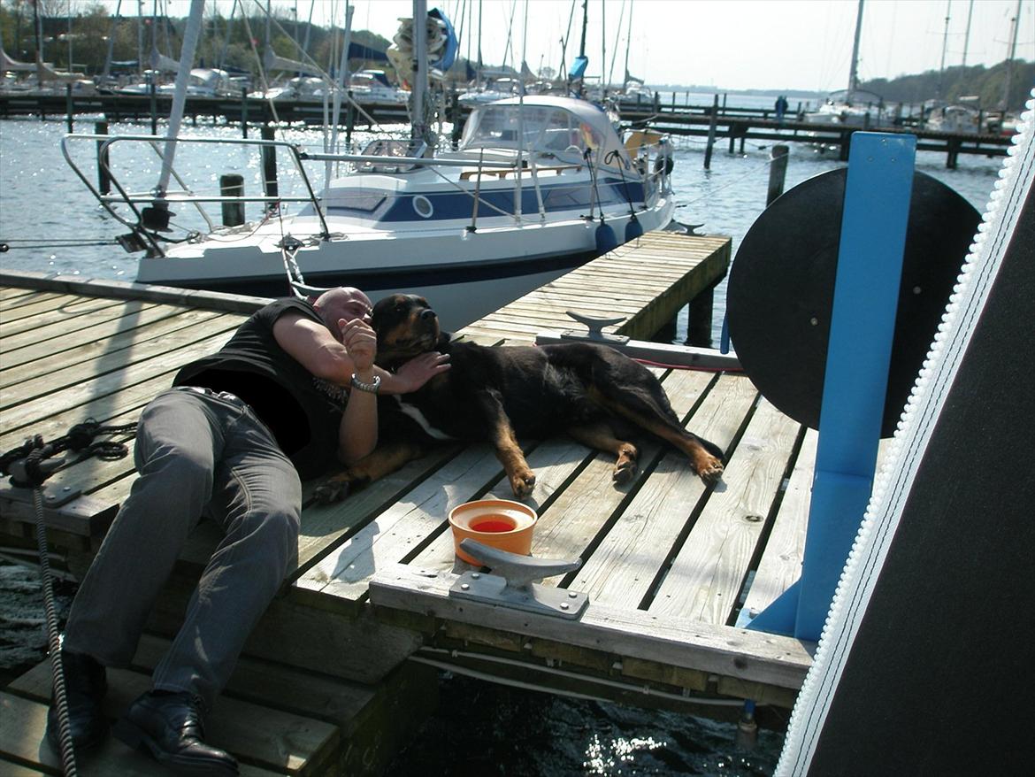 Blanding af racer Rollo - Juelsminde sommer 2011 billede 3