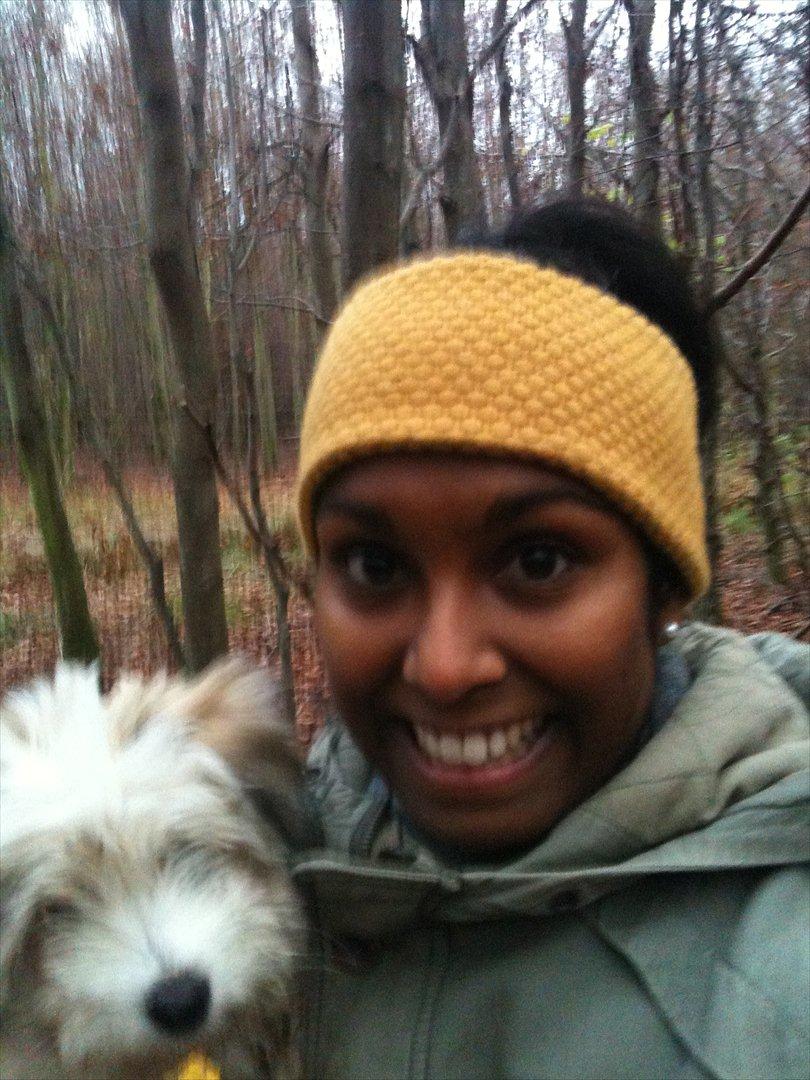 Coton de tulear Sille billede 3