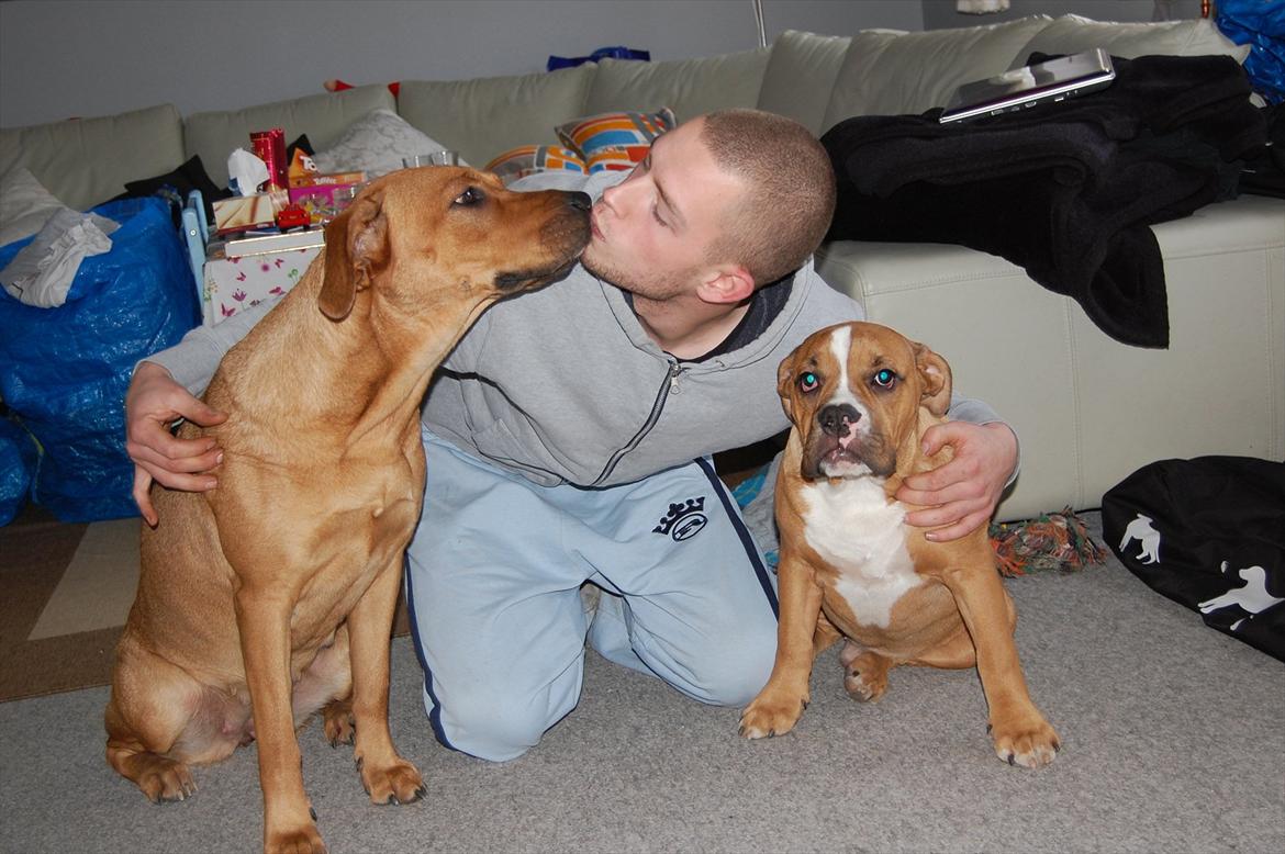 Blanding af racer Lady billede 14