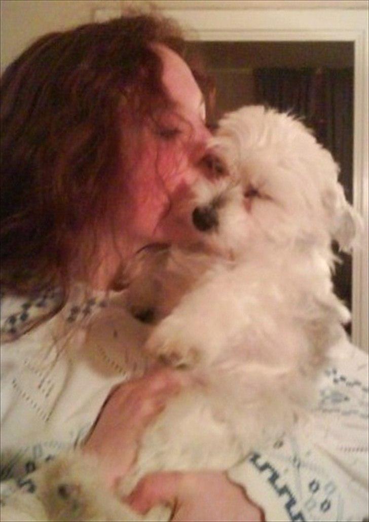 Coton de tulear Jasmin billede 8