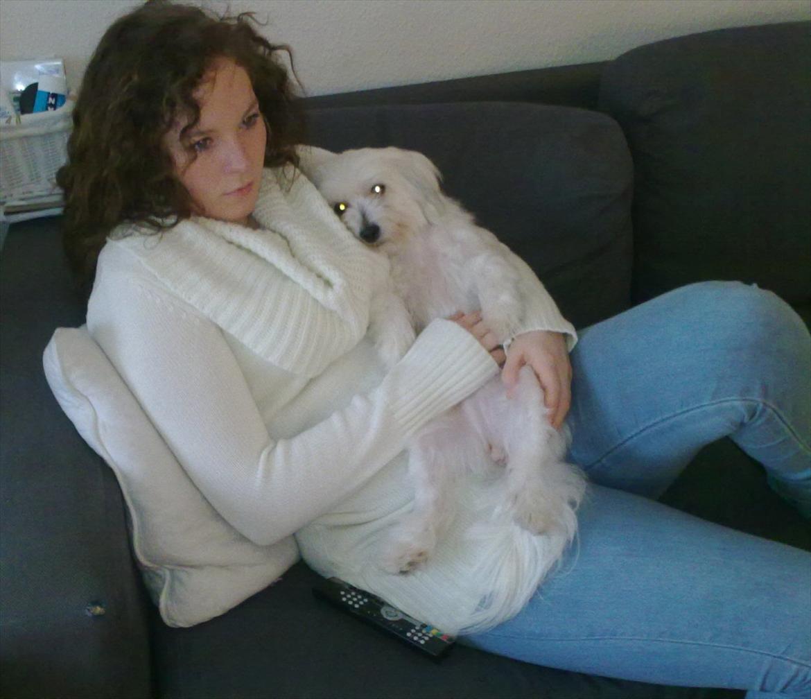 Coton de tulear Jasmin billede 9