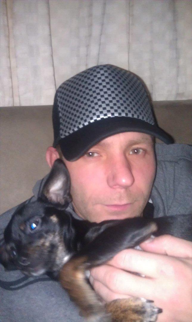 Blanding af racer Kenzo billede 14