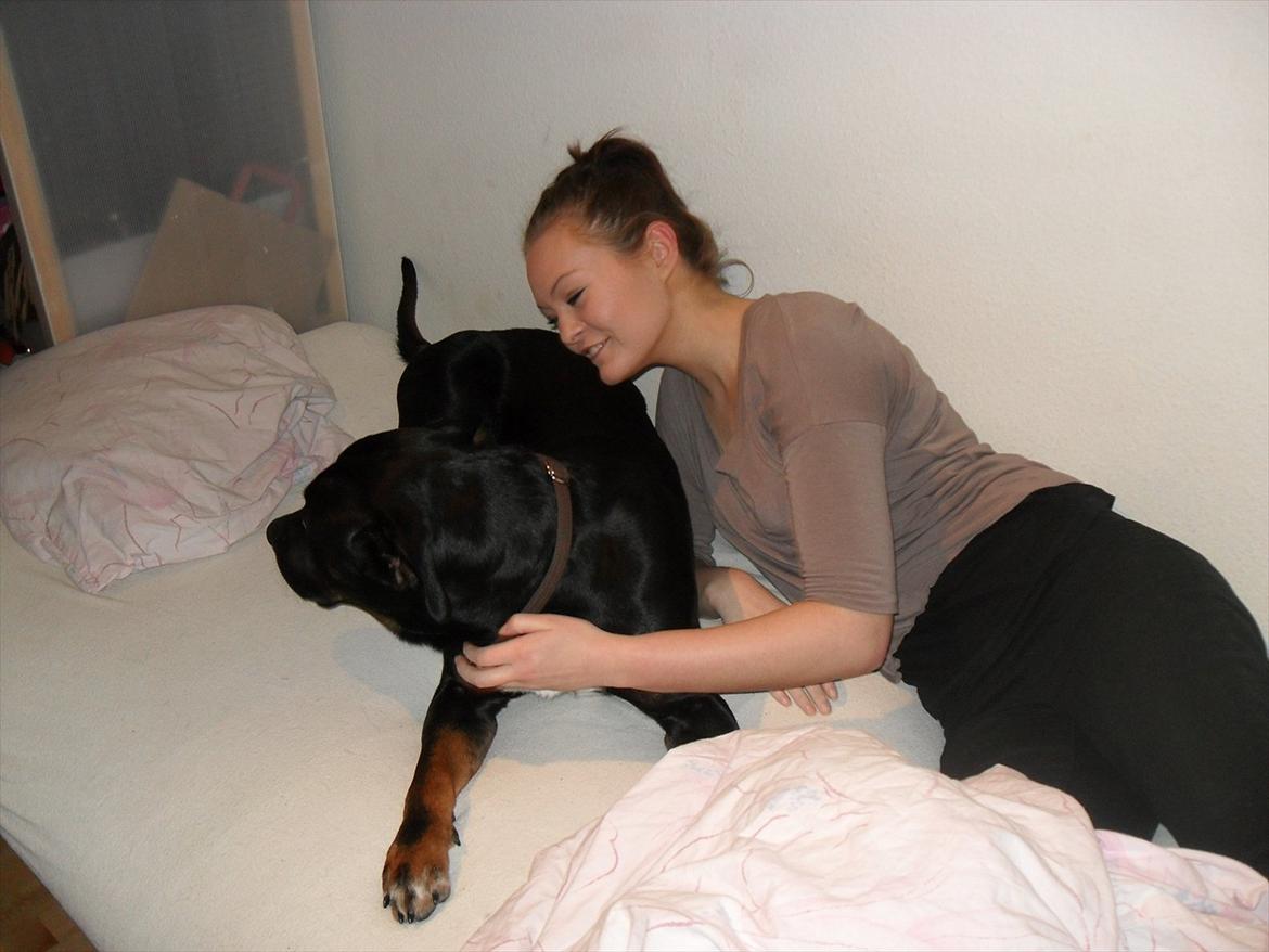 Blanding af racer Charley - Hygger :) billede 5