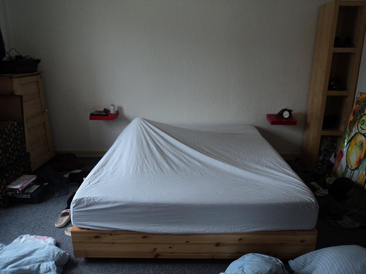 Engelsk bulldog Carla - Elsker at lege og gå i vejen når der skal redes seng :) billede 13