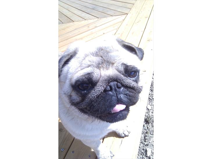 {{currentPhoto.altText}} billede {{currentPhoto.number}}