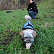 Blanding af racer Diego