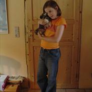 Shih tzu Muchu