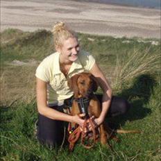 Rhodesian ridgeback Conrad (Bahara Bahara Kirabo)