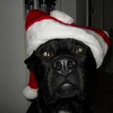 Blanding af racer Charley