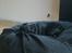 Labrador retriever Tess