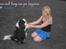 Cavalier king charles spaniel Lucas - Fantastisk billede!!<3.
