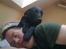 Labrador retriever Laban R.I.B