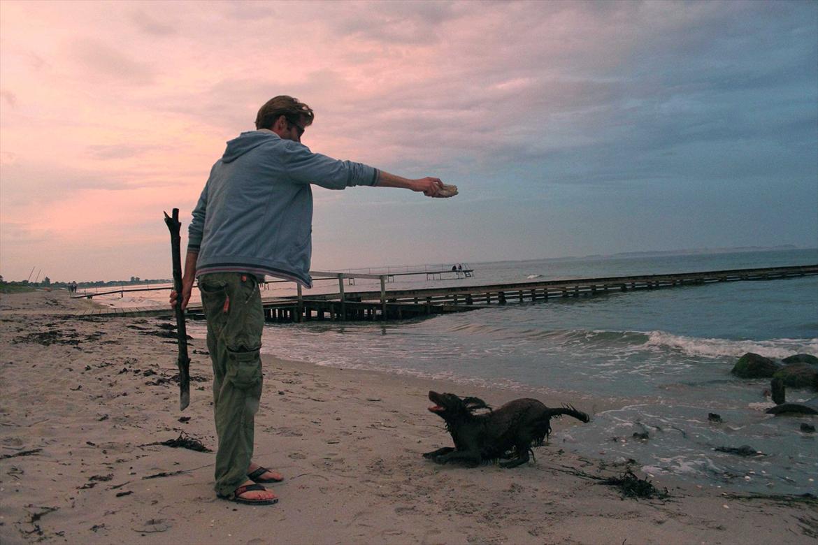 Field Trial spaniel Snif - fy, farmand! kast nu pinden!!! :D billede 12