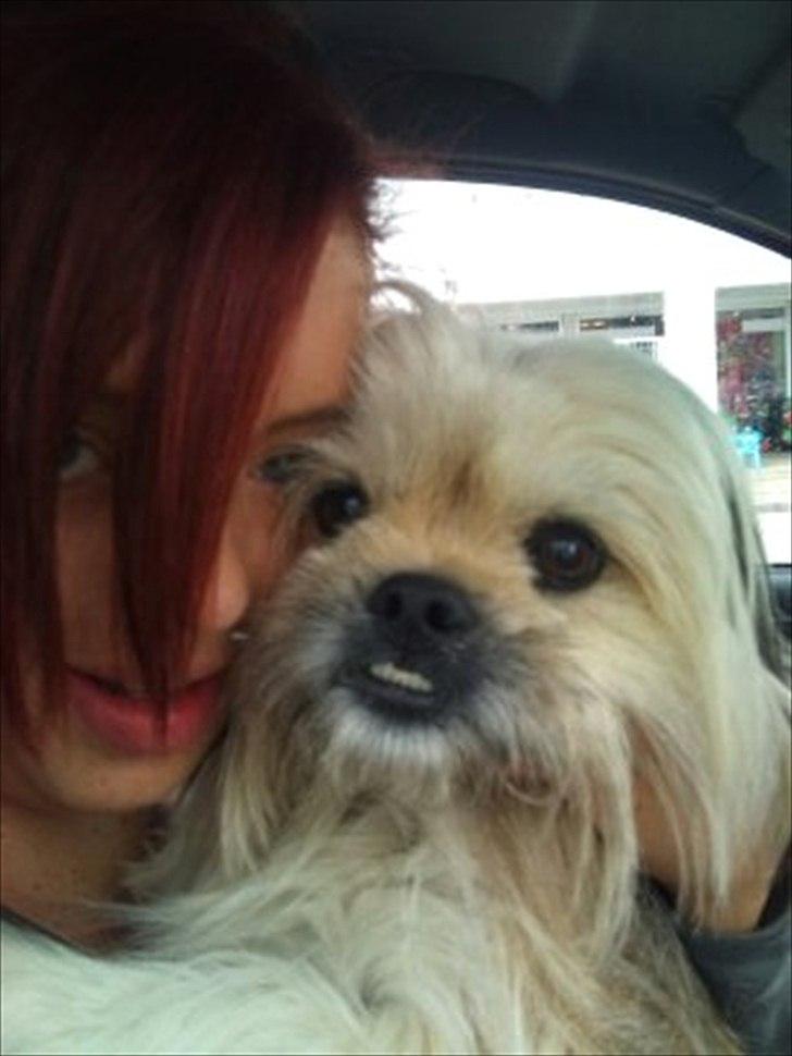 Blanding af racer Smilla <3 - Miig og Smilla  billede 5