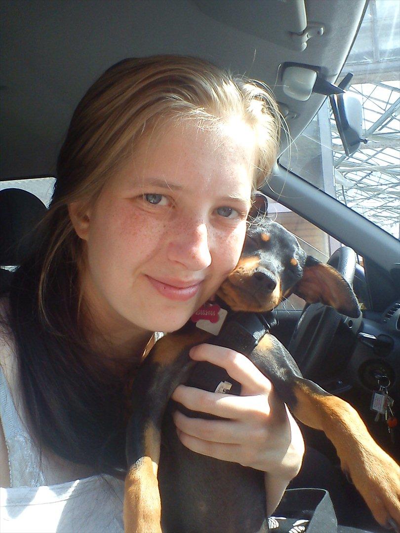 Dvaergpinscher Nellie <3 (Nellie Skovlund Asmussen) :)<3 billede 14