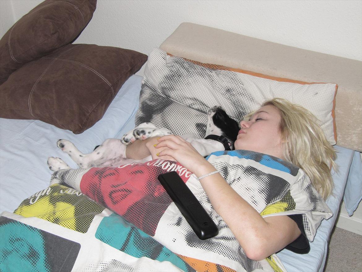 Blanding af racer Enzo billede 19