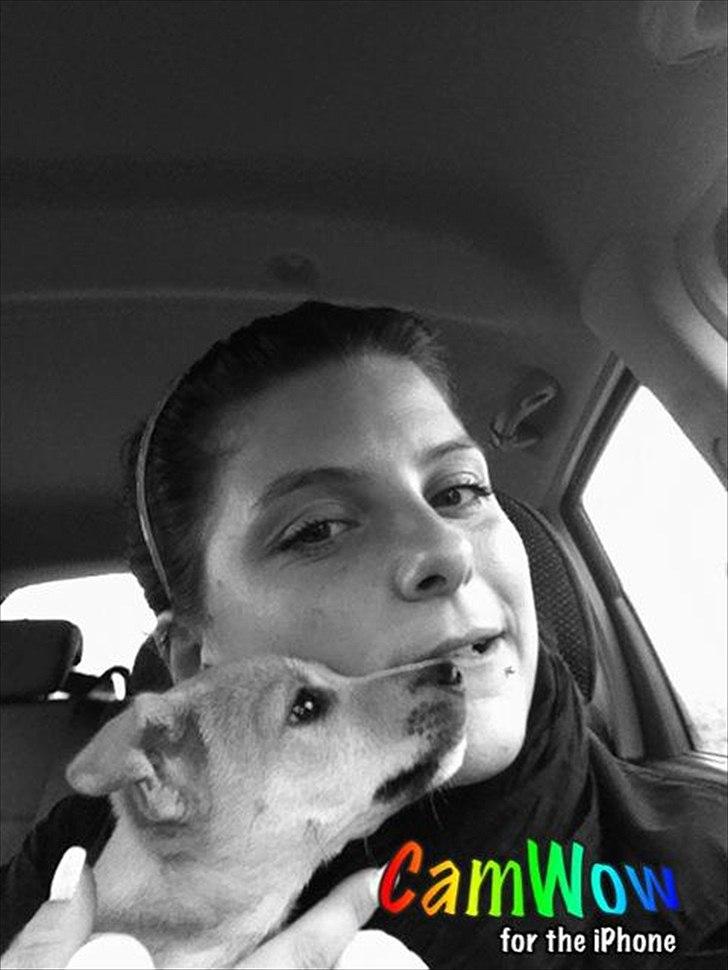 Blanding af racer Coda - Mig og min baby <3 billede 1