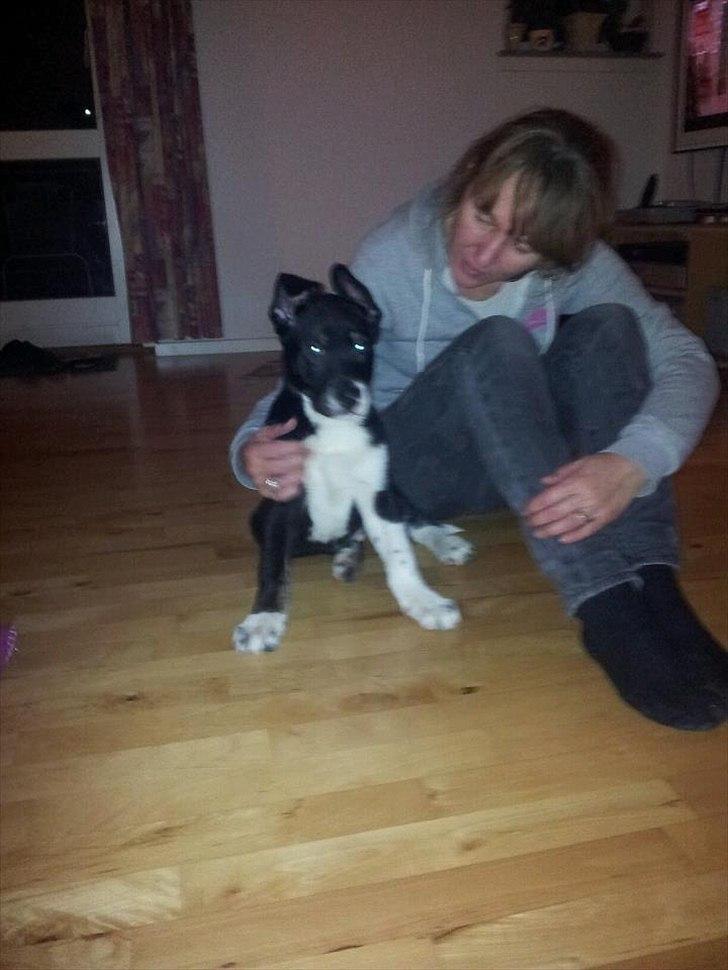 Blanding af racer Sofus - Mormor og sofus ;) billede 2