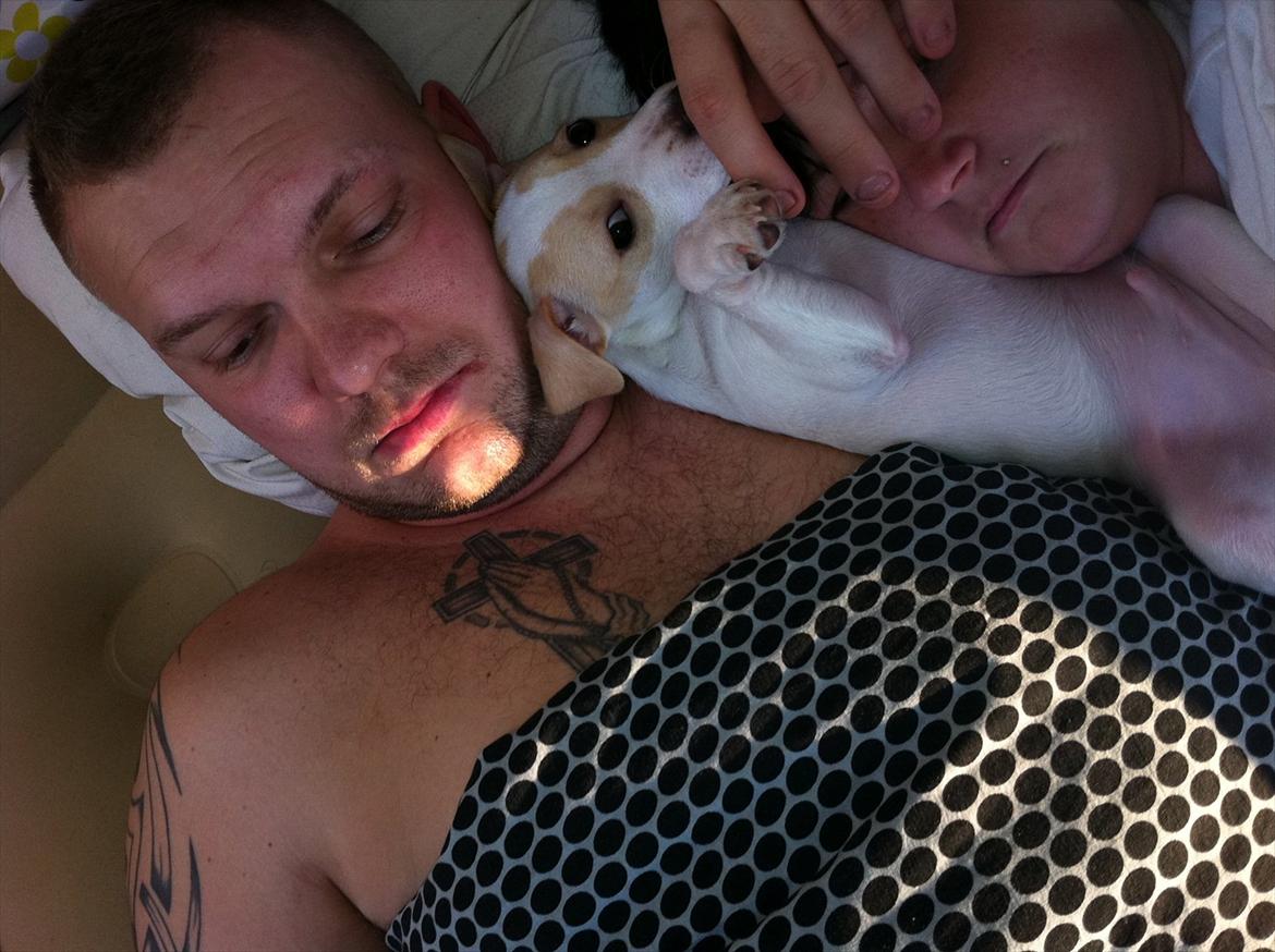 Dansk svensk gaardhund Curtis - mig og min far .. billede 10