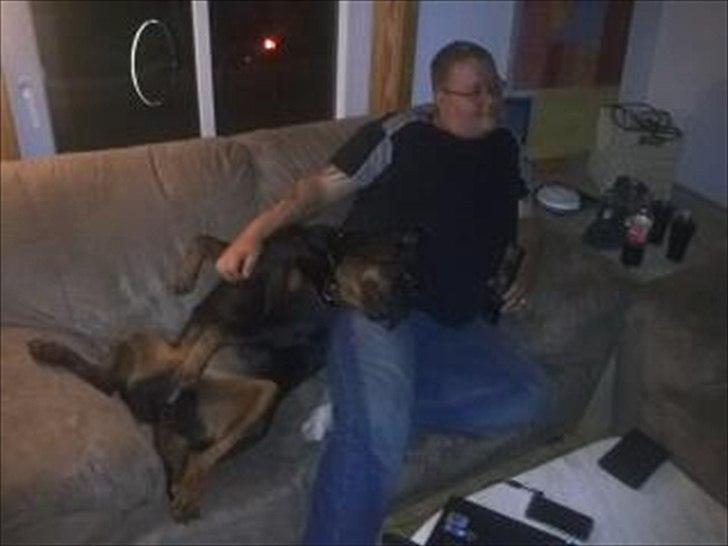 Rottweiler Chica billede 2