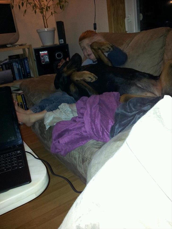 Rottweiler Chica billede 6