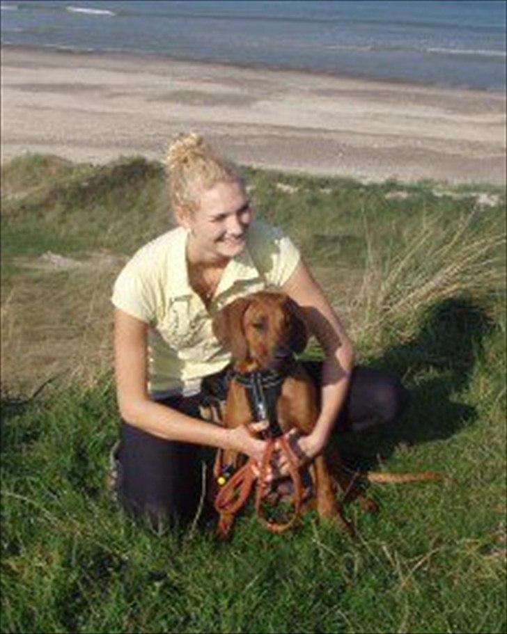 Rhodesian ridgeback Conrad (Bahara Bahara Kirabo) - Conrad og 'Mor' ved Vesterhavet sommer 2001.  billede 2
