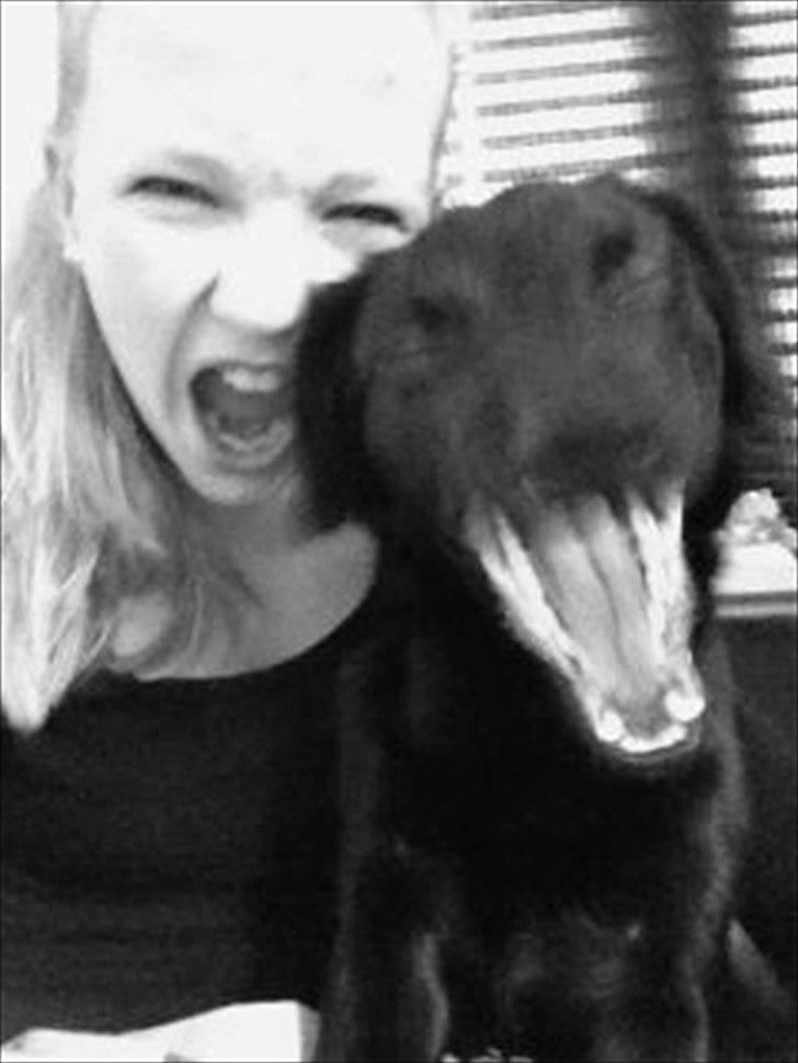 Blanding af racer Kato <3 - Halv år.
Undsyld dårlig kalitek.. :-D billede 18