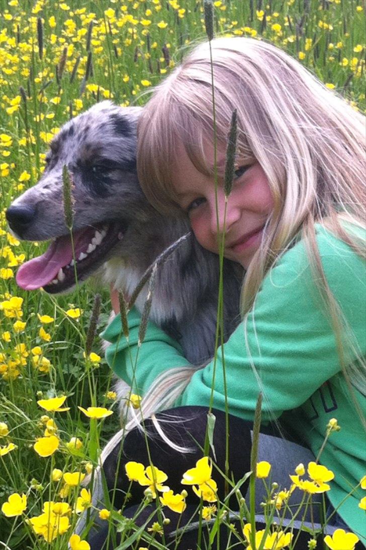 Australian shepherd Bella - Bella og jeg i Bernstoffsparken!<3 billede 1