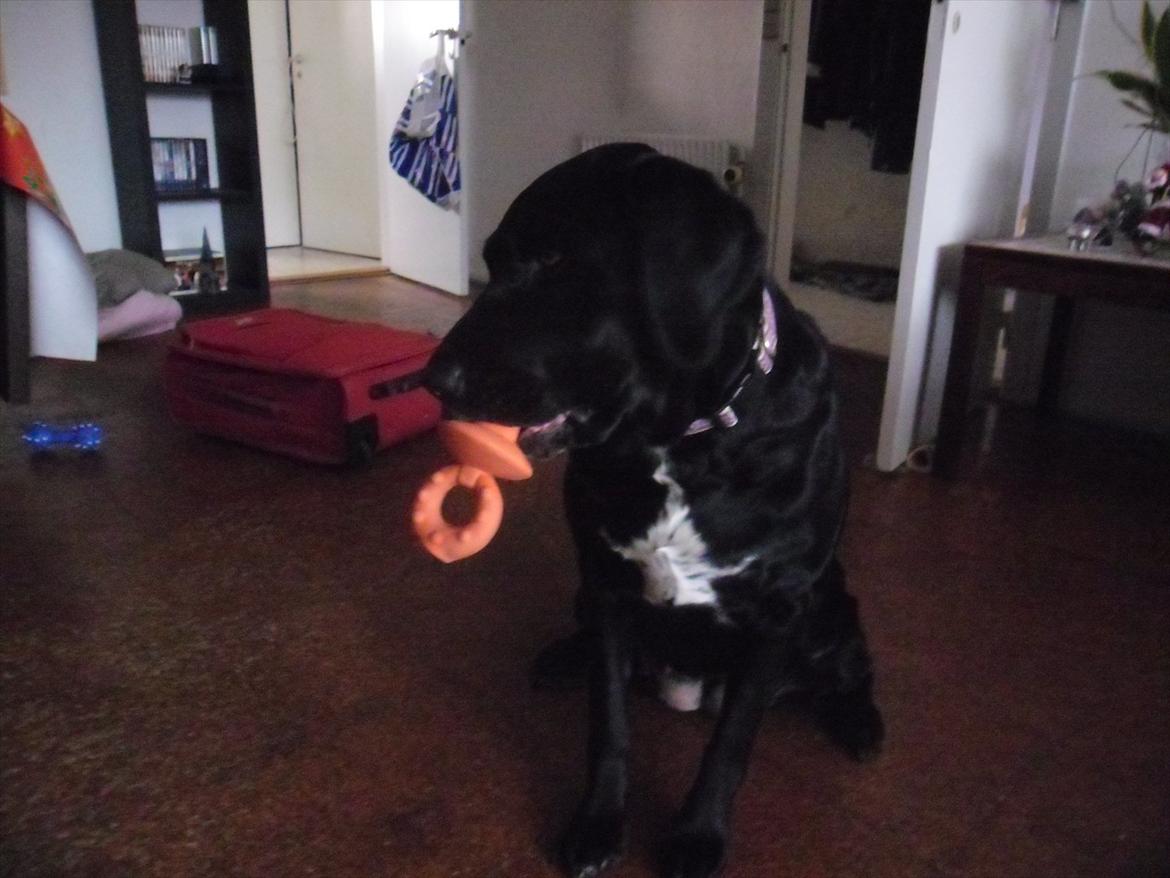 Blanding af racer Azza - Dagens kalendergave var en gummisut! Eeeelsker deeen!! ;) billede 10