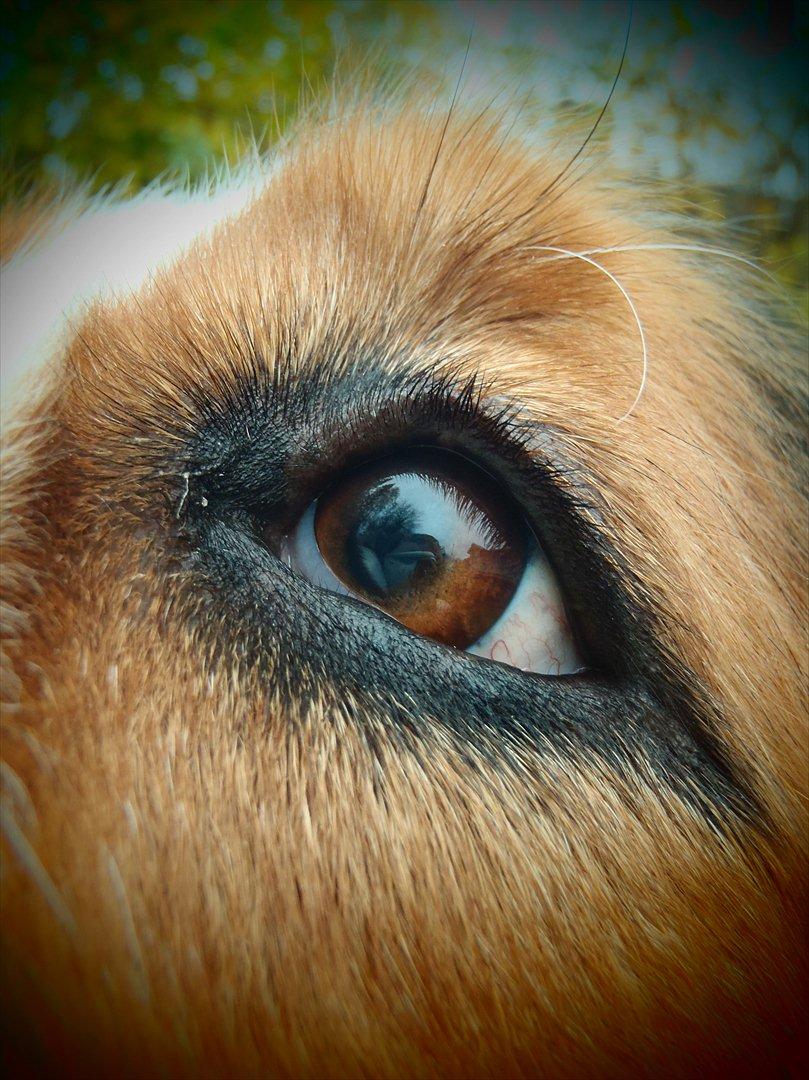 Blanding af racer Sofus R.I.P sept 2014 billede 7