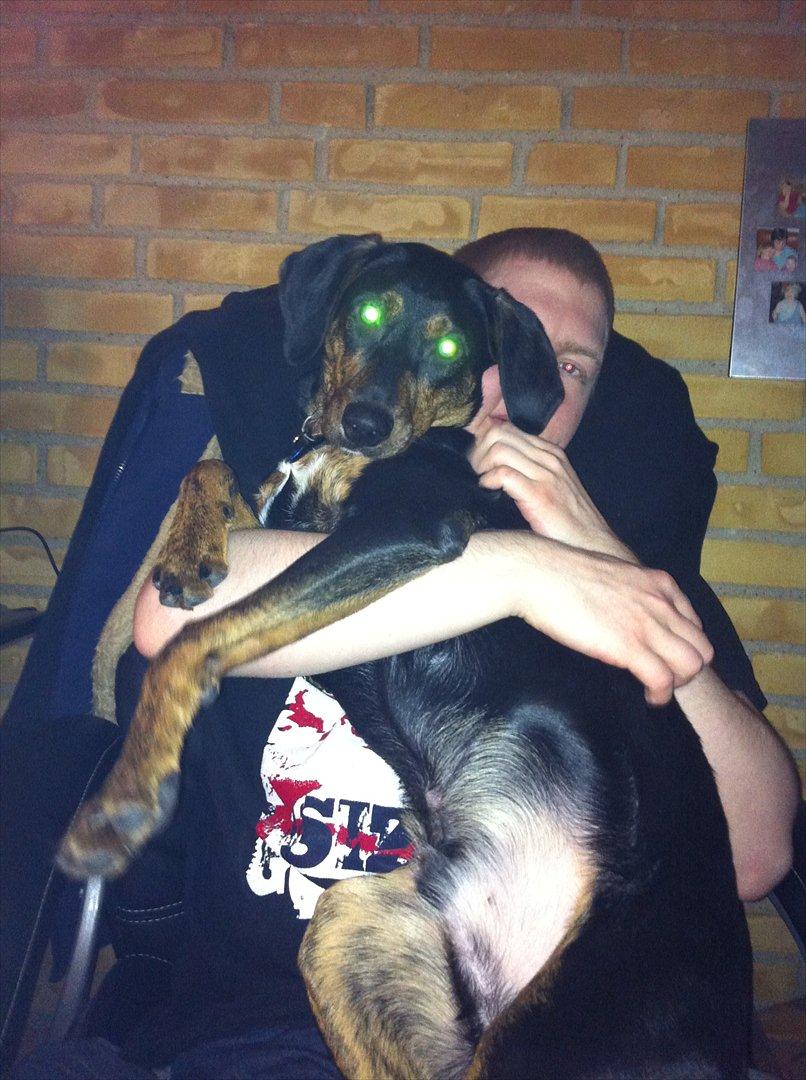 Blanding af racer Max <3 billede 15