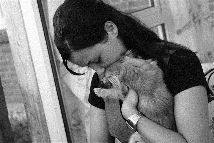 Chihuahua Ida billede 9