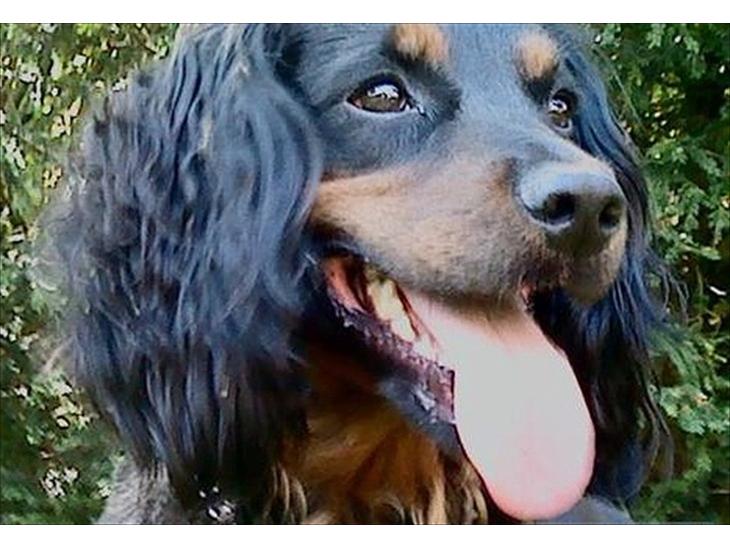 {{currentPhoto.altText}} billede {{currentPhoto.number}}