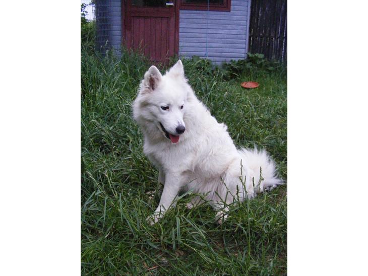 {{currentPhoto.altText}} billede {{currentPhoto.number}}