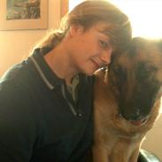 Schæferhund Rindums Uzi