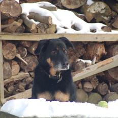 Blanding af racer Kovo <3