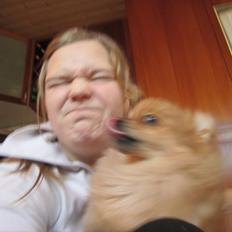 Pomeranian Sussi  R.I.P ;(