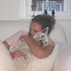 West highland white terrier Blixen