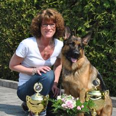 Schæferhund Akacias Mocca