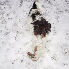 Blanding af racer Mickey