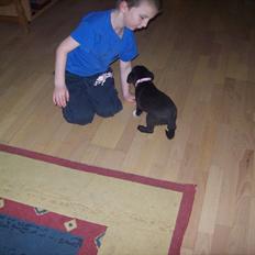 Blanding af racer freja