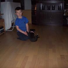 Blanding af racer freja